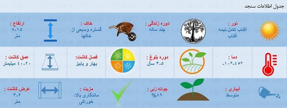 جدول اطلاعات کاشت بذر درخت سنجد
