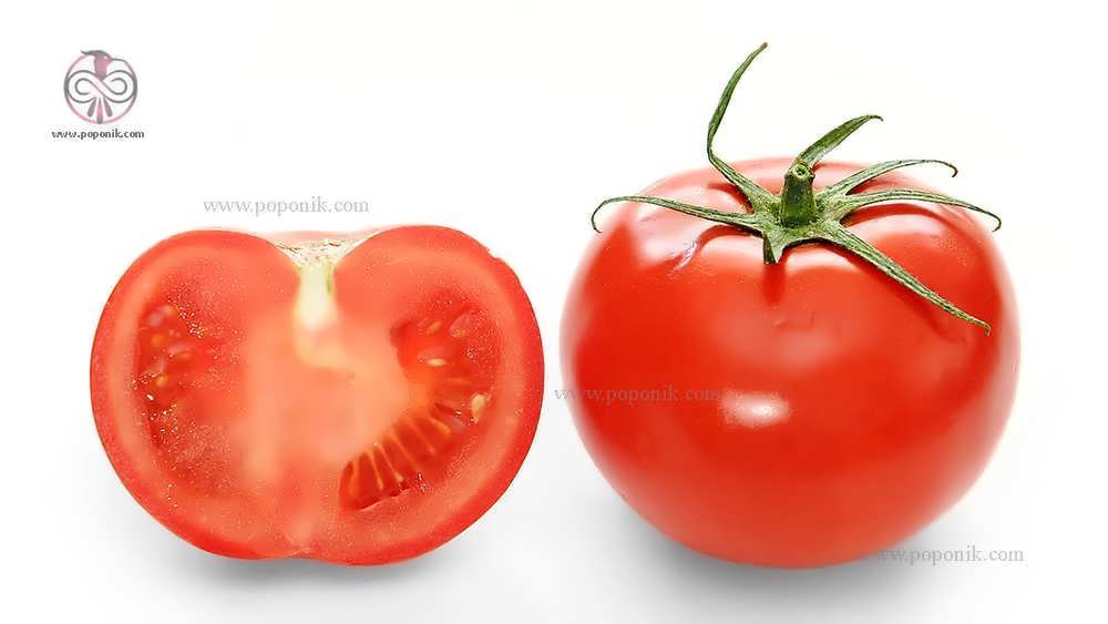 گوجه فرنگی منبع ویتامین ث