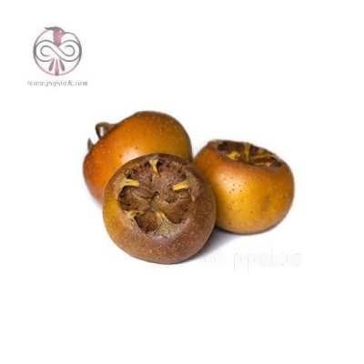 نهال ازگیل شب یلدا (کندوس) نهال ازگیل شب یلدا (کندوس)
