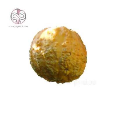 نهال نارنج ابلق نهال نارنج ابلق