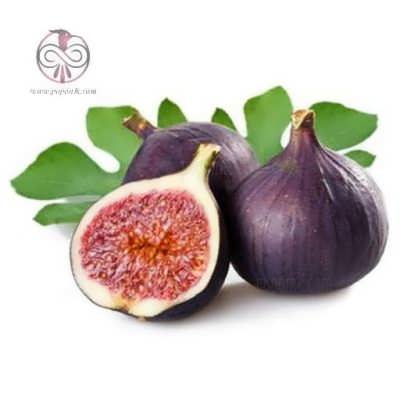 نهال انجیر سیاه نهال انجیر سیاه