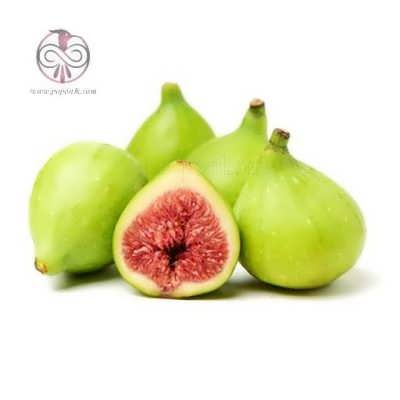 نهال انجیر سفید عسلی نهال انجیر سفید عسلی