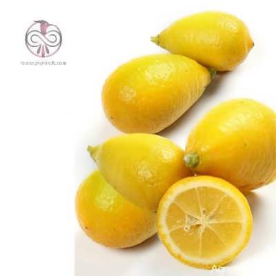 نهال لیمو ترش لایم کوات نهال لیمو ترش لایم کوات