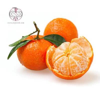 نهال نارنگی پیج نهال نارنگی پیج