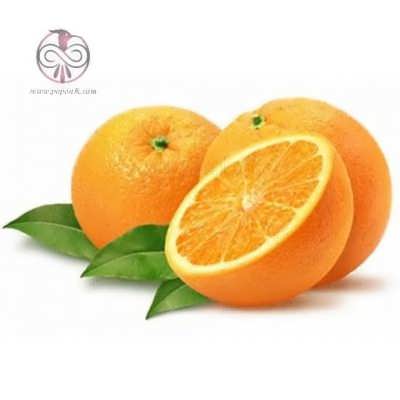 نهال پرتقال شهسواری نهال پرتقال شهسواری