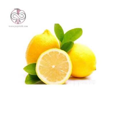 نهال لیمو ترش سنگی جنوب نهال لیمو ترش سنگی جنوب
