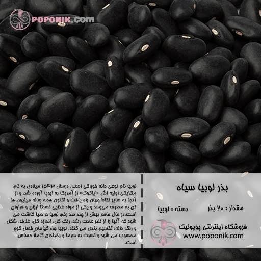 بذر لوبیا سیاه