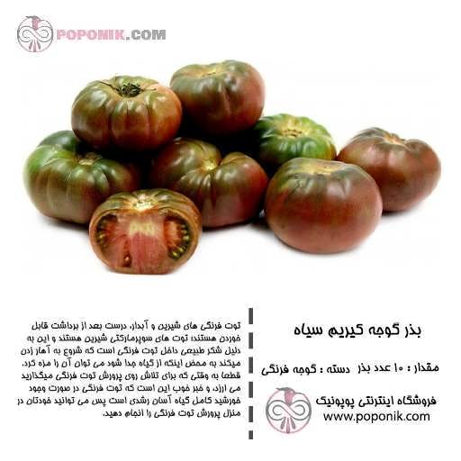 بذر گوجه فرنگی کیریم سیاه