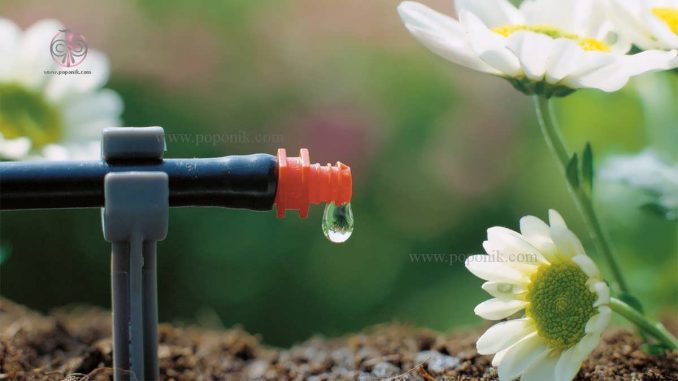 سیستم آبیاری قطره ای برای گیاهان گلدانی
