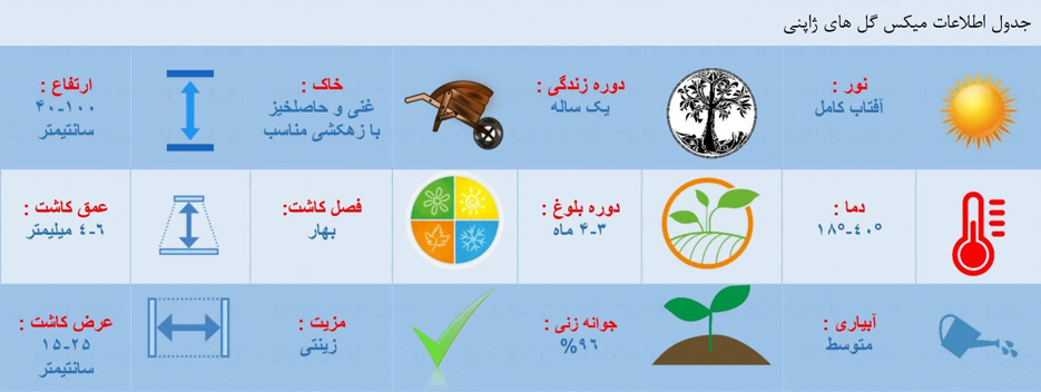 اطلاعات کاشت میکس گل های ژاپنی