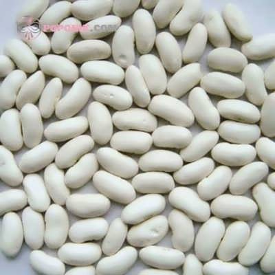 images of white kidney beans