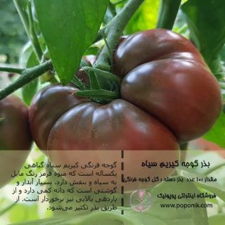بذر گوجه کیریم سیاه