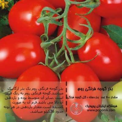 بذر گوجه فرنگی روم