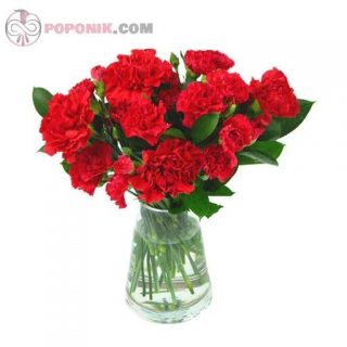 گل میخک قرمز در گلدان