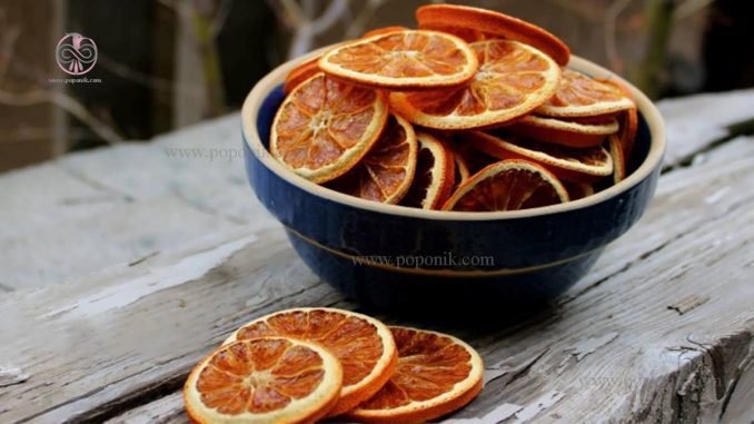 خشک کردن پرتقال