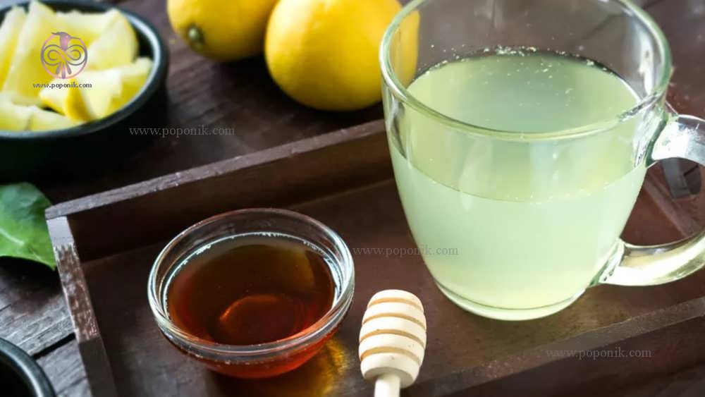 دمنوش لیمو و عسل