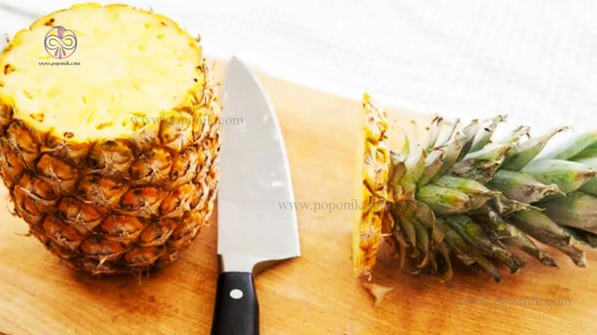 چگونگی پوست کندن آناناس یا چاقو