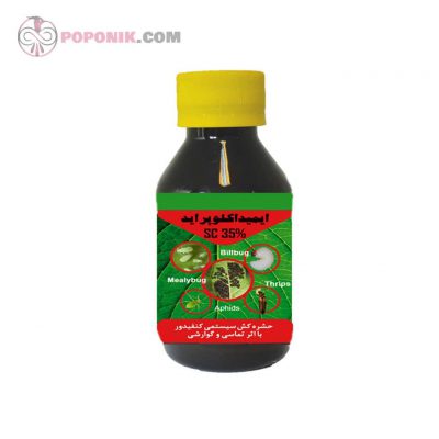 کنفیدور کنفیدور