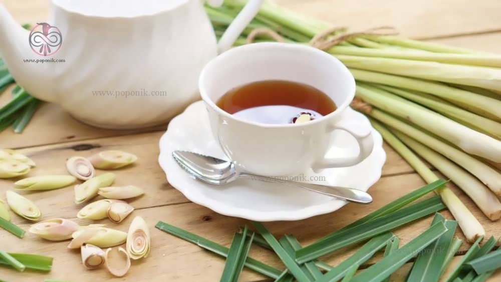 چای بابونه از انواع مختلف چای