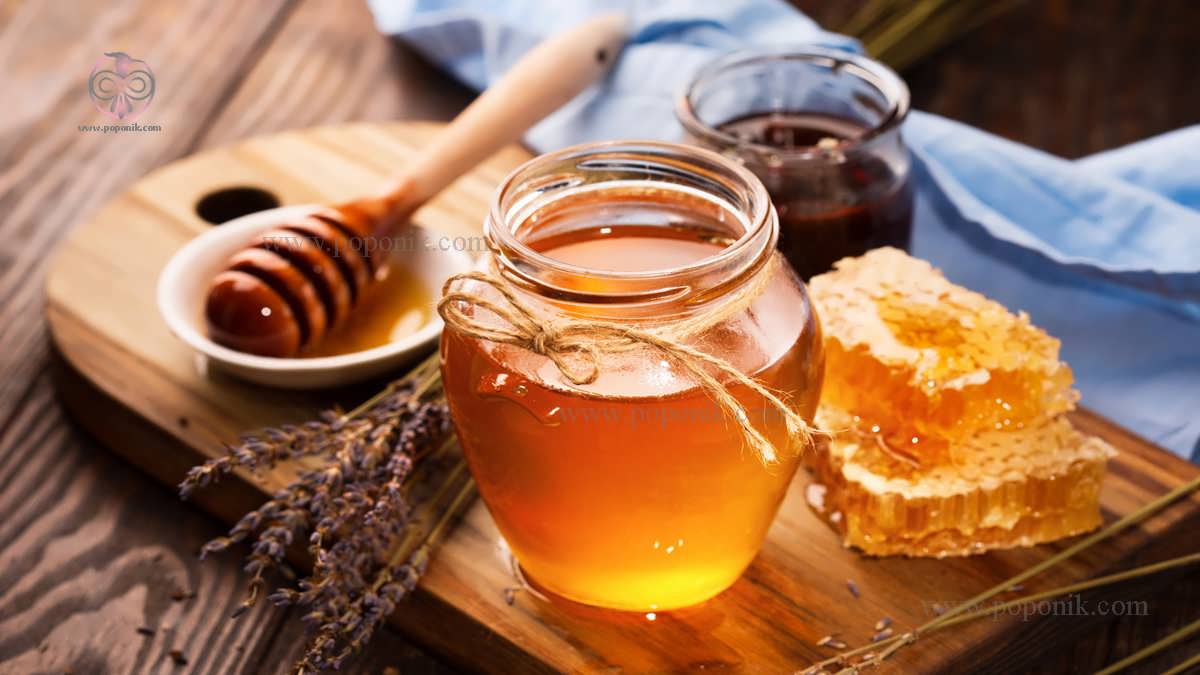 عسل این خوشمزه باستانی