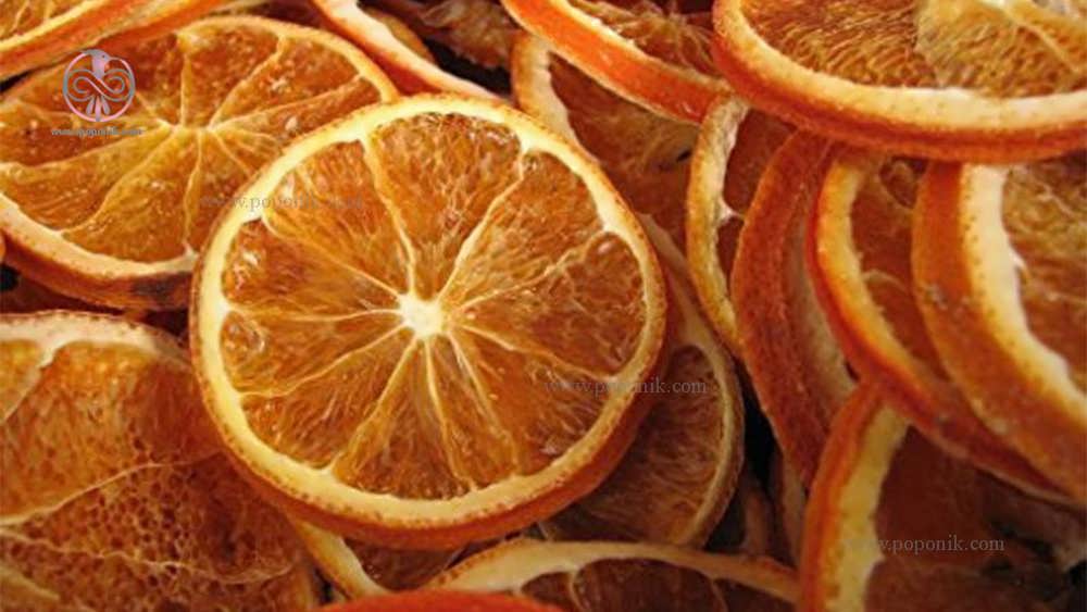 پرتقال خشک کوکی