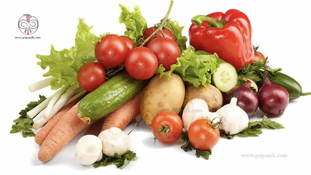 سبزیجات مناسب برای کاشت در فضای بسته