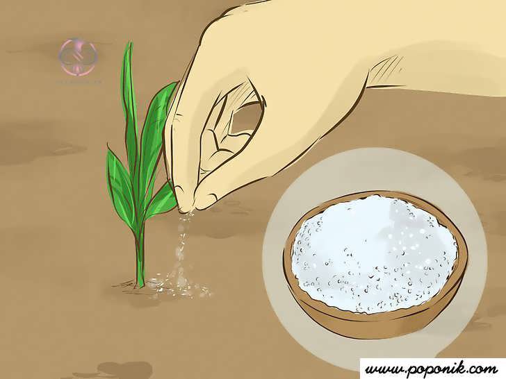 اضافه کردن نمک اسپوم به خاک
