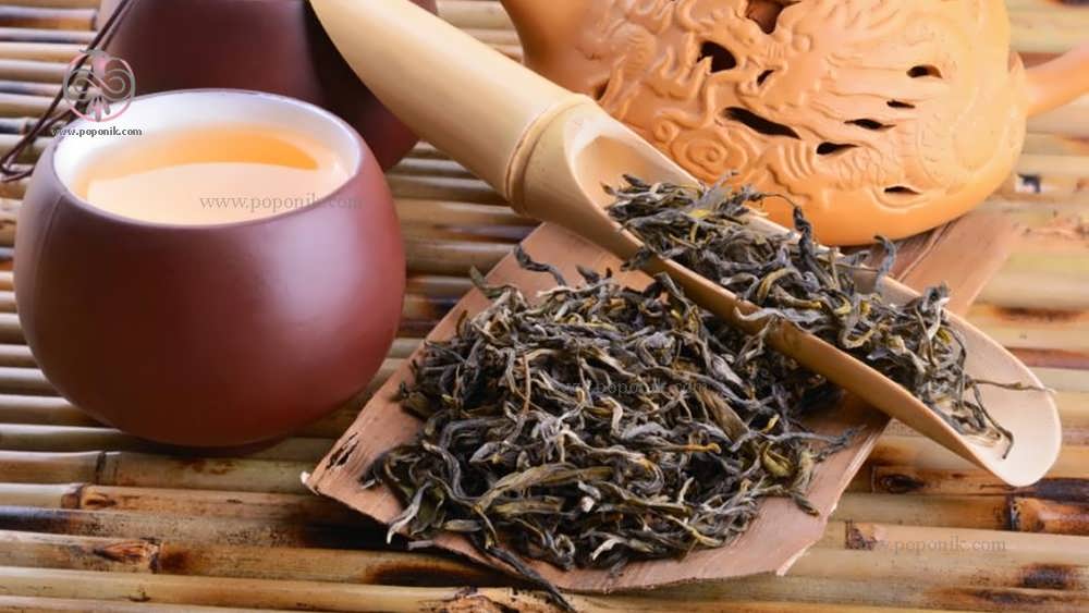 چای اولانگ (Oolong Tea) از انواع مختلف چای