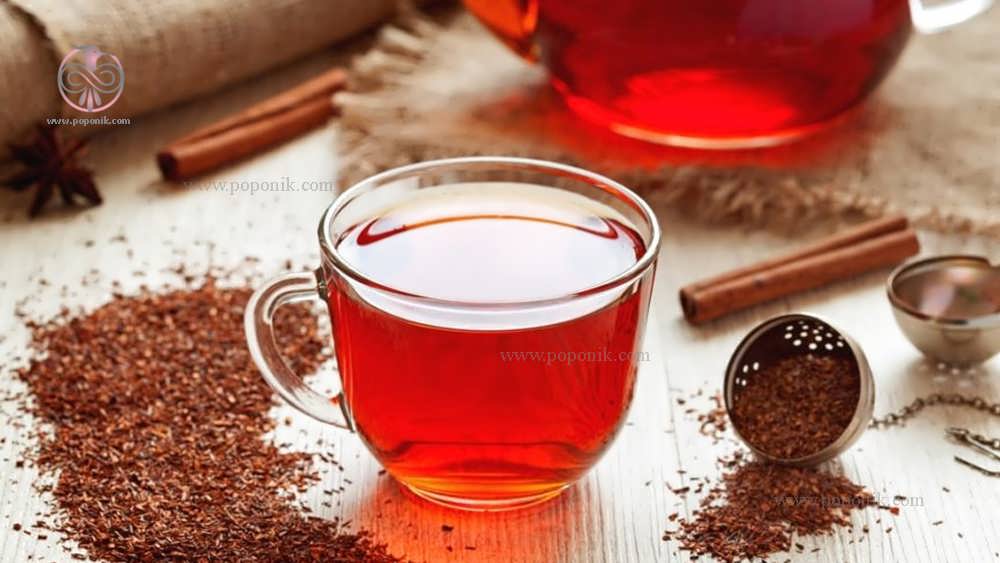 چای رویبوس از انواع مختلف چای