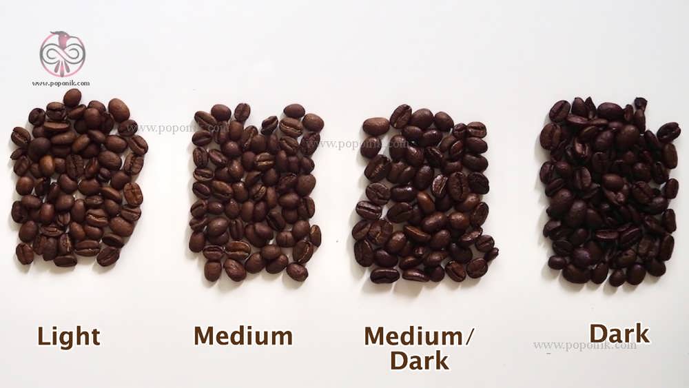نمونه های دانه قهوه