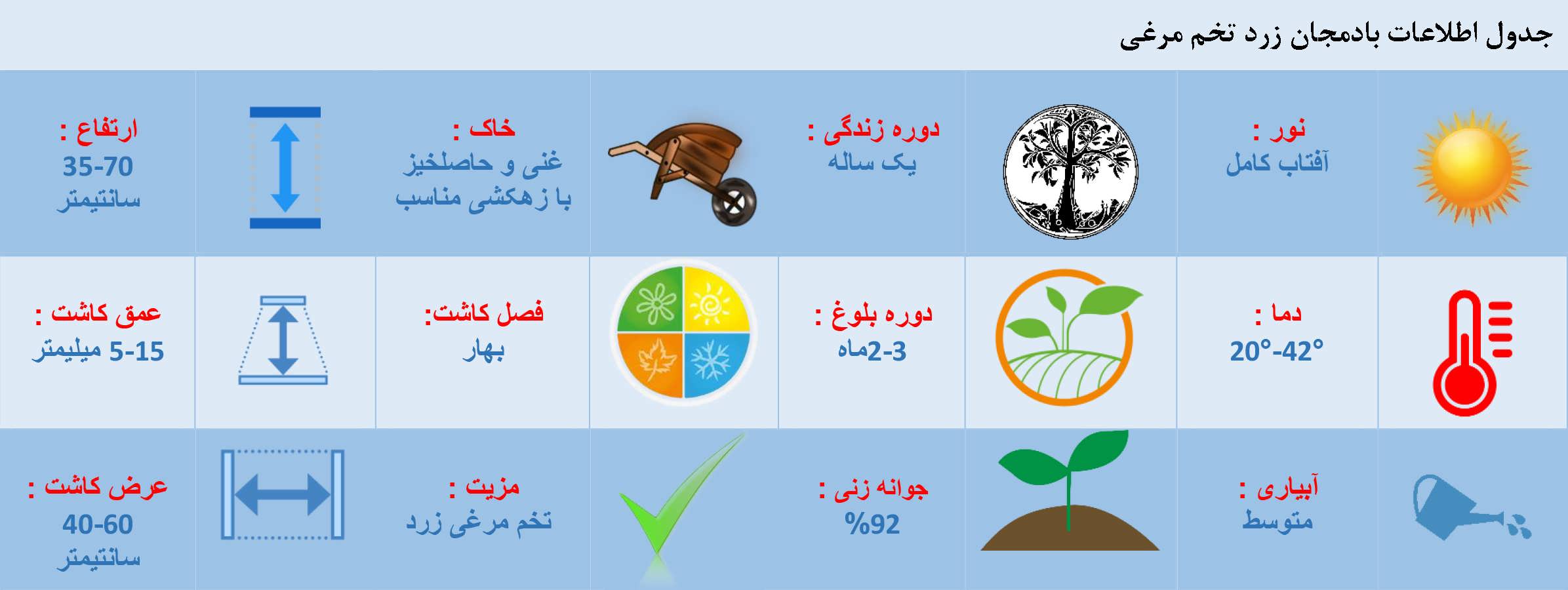 جدول اطلاعات بادمجان زرد تخم مرغی