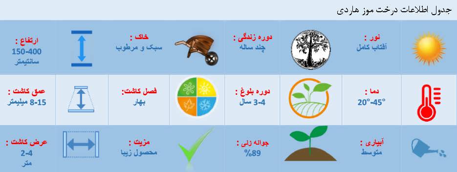 جدول اطلاعات درخت موز هاردی