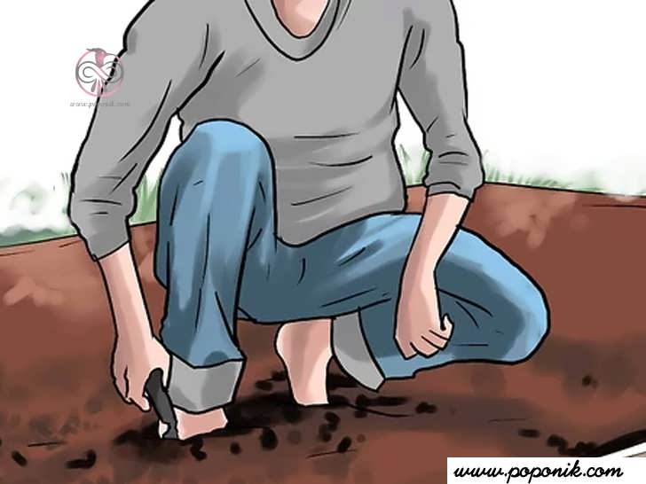 شخم زدن خاک