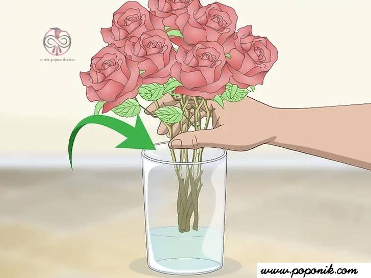 گلها را بلافاصله در گلدان قرار دهید