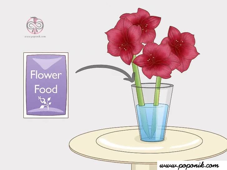 یک بسته غذای گل رابه گلدان افزوده و هم بزنید