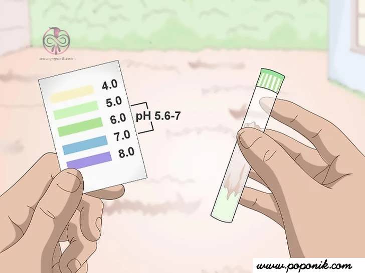 pH خاک خود را آزمایش کنید
