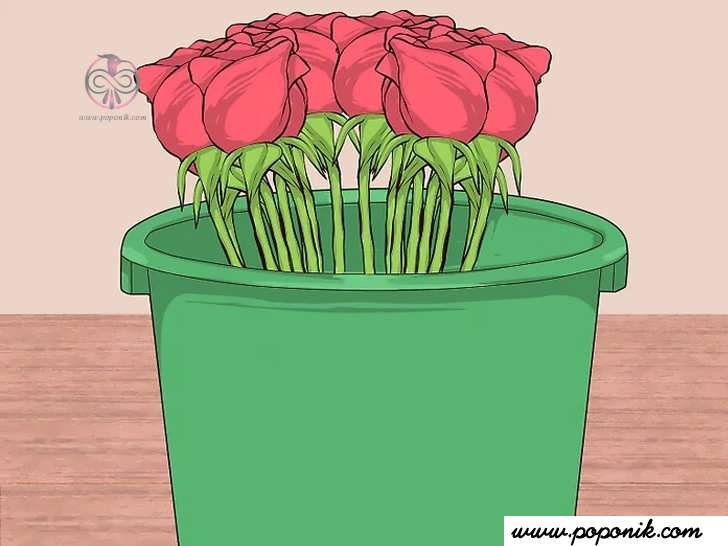گلها را با سطل حمل کنید