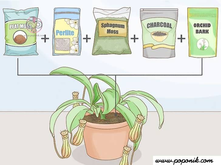 از خاک برای گیاه خود استفاده کنید