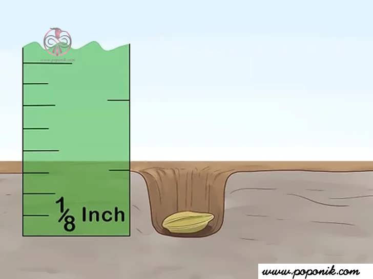 تورفتگی های کم عمقی در خاک ایجاد کنید