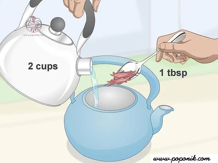 از غلاف گل برای دم کردن چای گیاه هیبیسکوس استفاده کنید