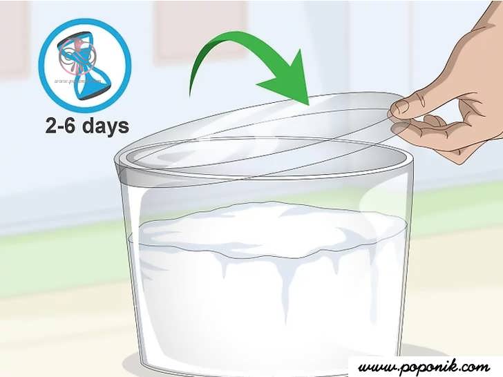 ظرف را با درپوش بپوشانید و آن را برای 2 تا 6 روز به حال خود بگذارید