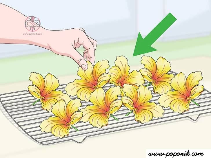گلها را روی یک قفسه خشک کن پخش کنید