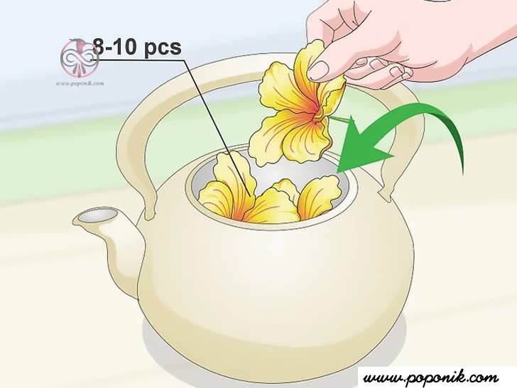 از 8 تا 10 گل برای تهیه یک قوری چای استفاده کنید