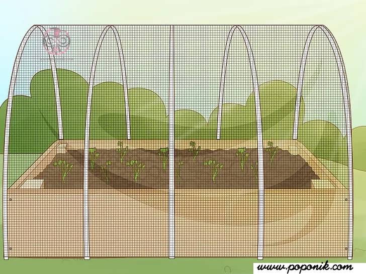 یک پوشش اضافه کنید تا گیاهان شما در برابر آفات یا عناصر دیگر محافظت شود