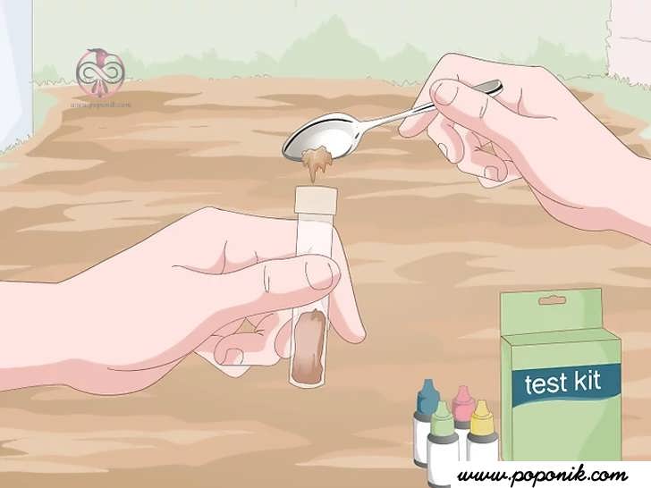 مواد مغذی خاک خود را با یک کیت آزمایش خاک بررسی کنید