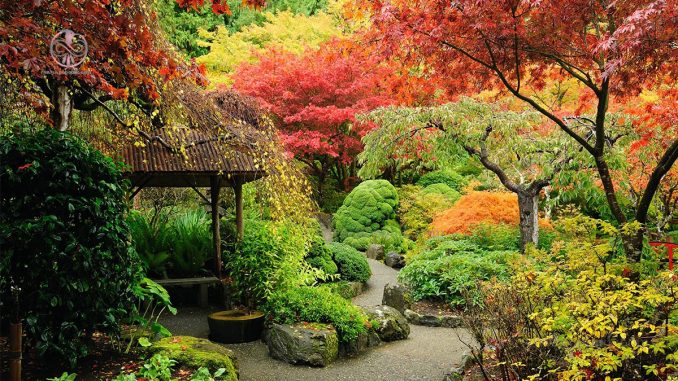 10 نوع گیاه رایج ژاپنی