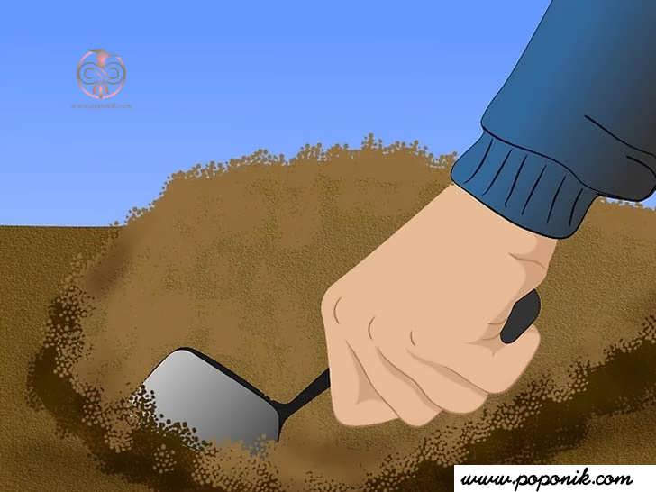 از هر نوع خاکی استفاده کنید، به شرطی که سریع تخلیه شود