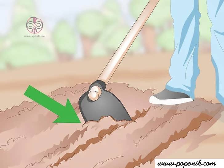 خاک را با بیل باغبانی و یا گاوآهن شخم بزنید