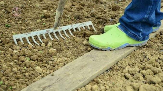 نحوه آماده سازی خاک برای سبزیجات