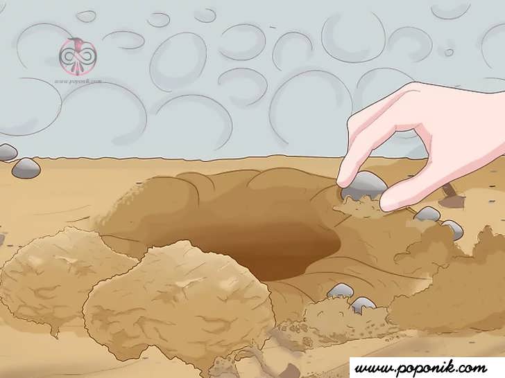 هرگونه سنگ یا آوار را که در خاک پیدا می کنید از بین ببرید